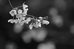 250330-093822-P