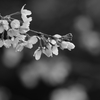 250330-093822-P