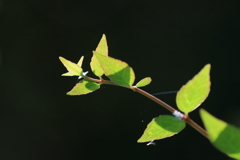240810-082527