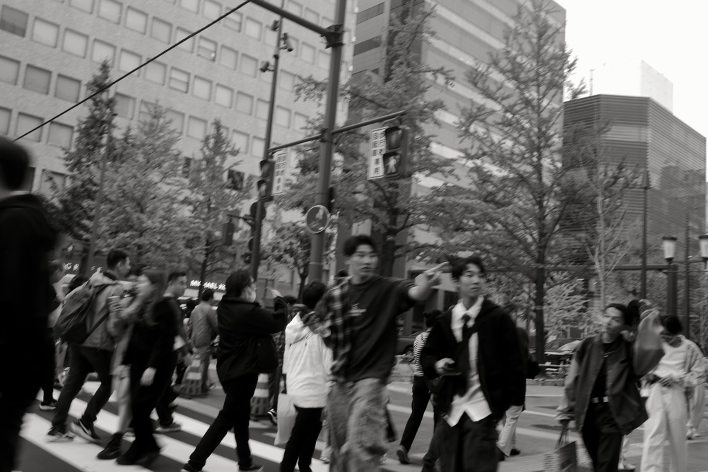 横断歩道