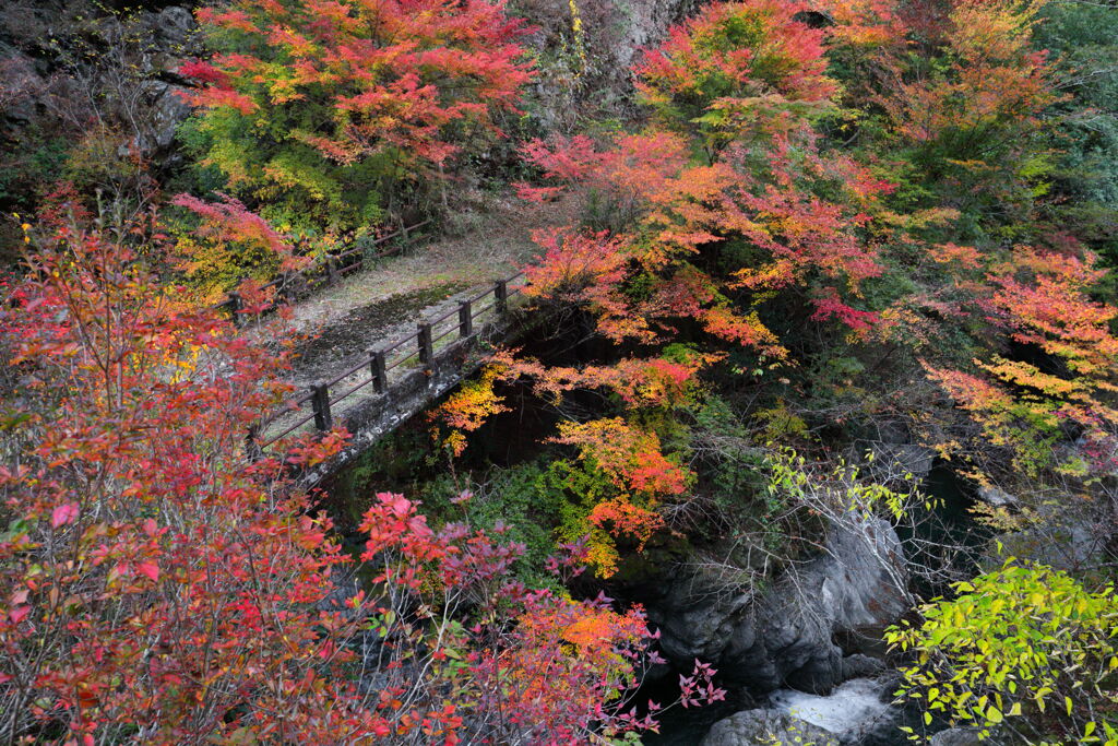 山道の紅葉 - ②