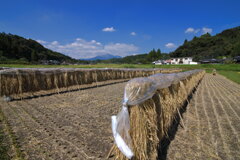 霧島春夏秋冬 (掛け干し) - ③