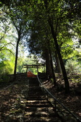 皐月の銀鏡 (銀鏡神社) - ①