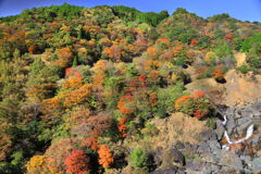 谷間の流れ (源流近く)
