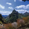 山間の桜 (鹿川) - ①