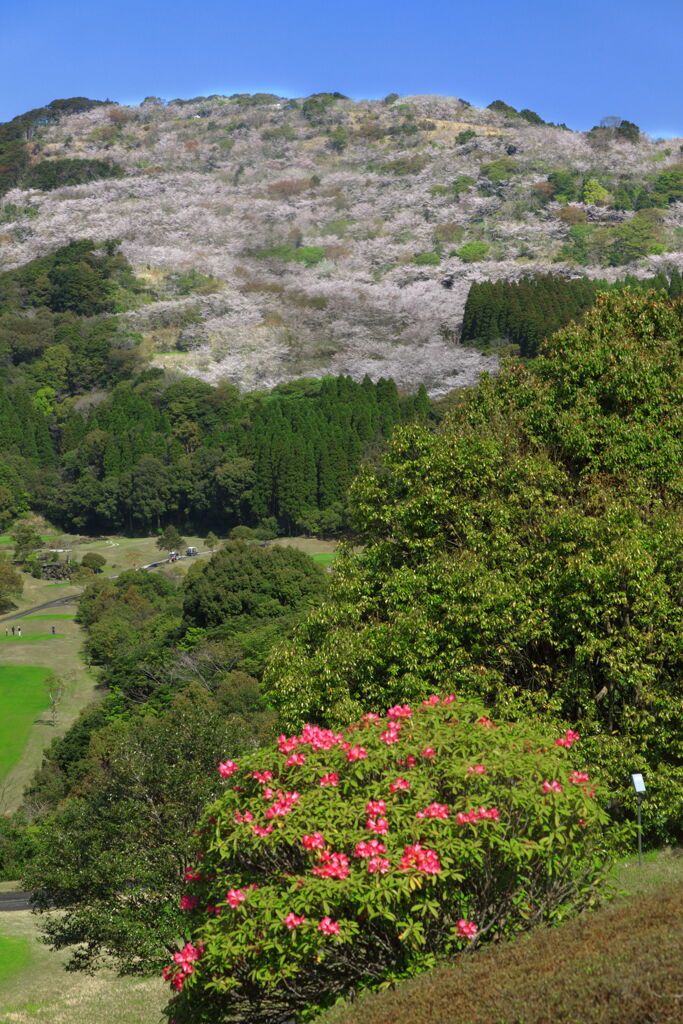 花立山 - ①