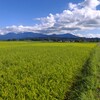 霧島春夏秋冬 (秋の農道)