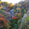 白滝 - ④