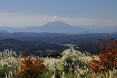 霧島山から見た桜島 (えびの高原) - ①
