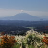 霧島山から見た桜島 (えびの高原) - ①