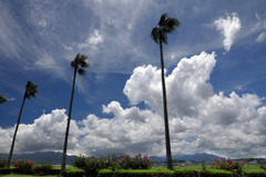 夏の雲 - 1