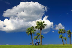 臨海公園・夏雲 - ③