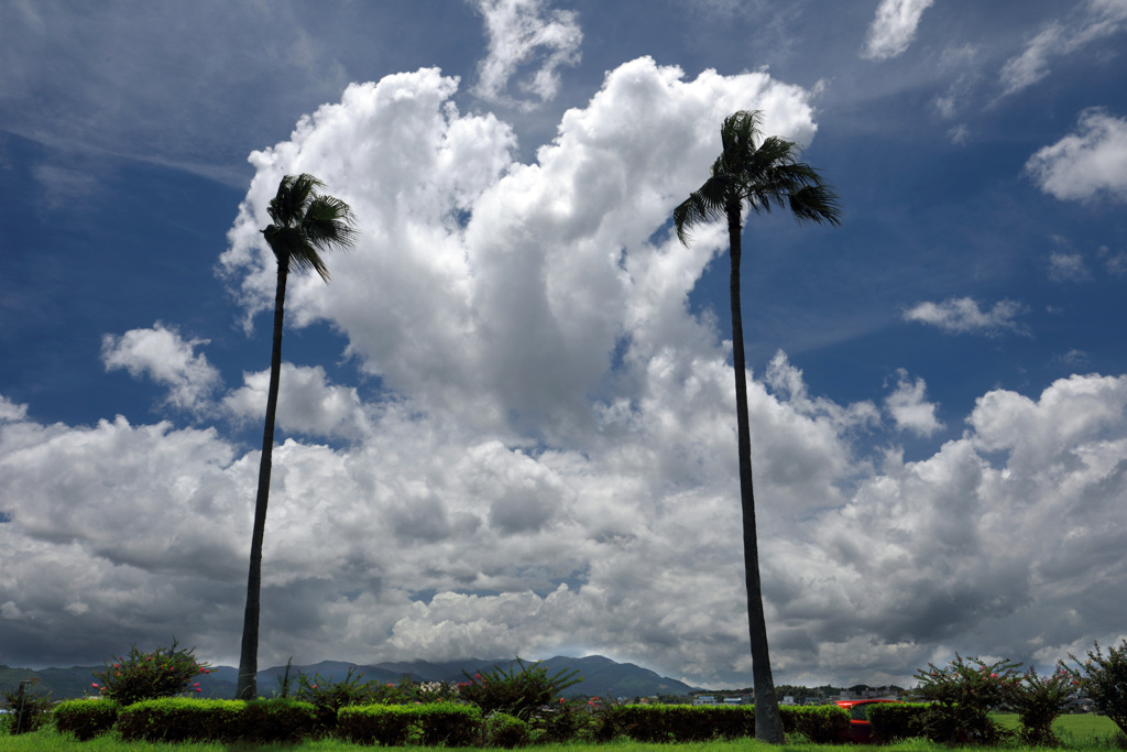 夏の雲 - 2