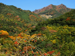 日之影 (山の紅葉) - ⑥