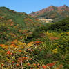 日之影 (山の紅葉) - ⑥