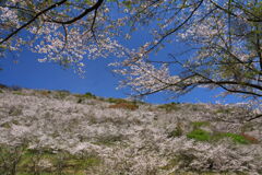花立山 - ③