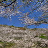 花立山 - ③