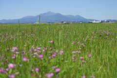 霧島春夏秋冬 (安久地区)