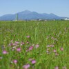 霧島春夏秋冬 (安久地区)