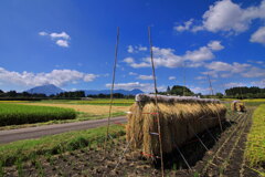 霧島春夏秋冬 (秋の盆地) - ①