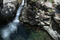 岩を削る清流 (名貫川)