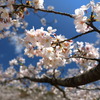 花立山 - ⑤