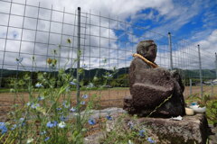 田のかんさあ (田の神像) - ①