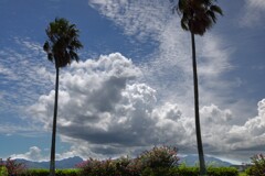夏雲 (入道雲)