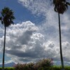 夏雲 (入道雲)