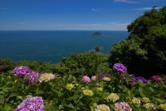 桃源郷 (遠見半島) - ⑦