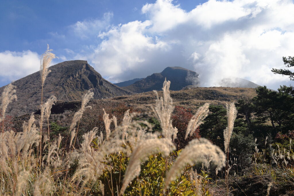 霧島春夏秋冬 (秋霧島) - ①