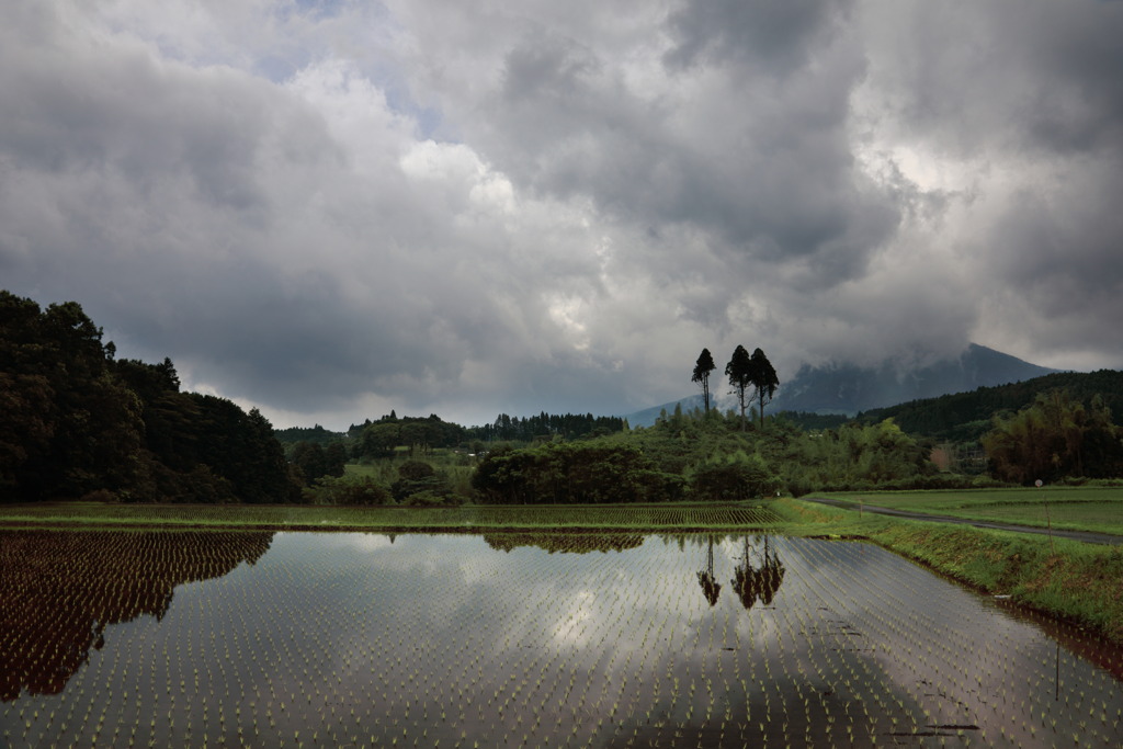 梅雨の頃 - ②