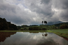 梅雨の頃 - ②