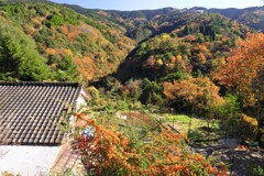 ポッンと一軒家