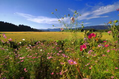秋の農村 (えびの市) - ①