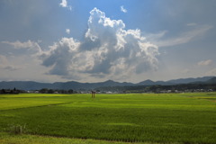 霧島春夏秋冬 (夏) - ①