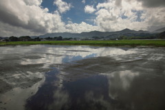 梅雨の頃 - ①
