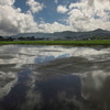 梅雨の頃 - ①