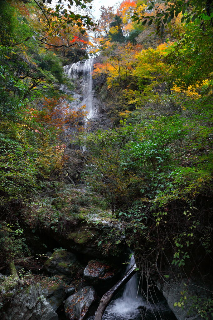 紅葉・白滝 - ①