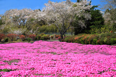 春の一里山 - ⑥