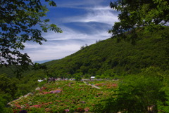 桃源郷 (遠見半島) - ③