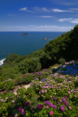 桃源郷 (遠見半島) - ⑨