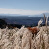 霧島山から見た桜島 (えびの高原) - ②