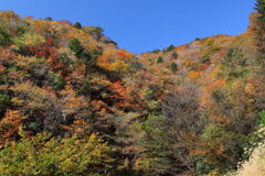 小崎峠 - ③