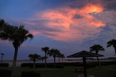 椰子の夕暮れ - ②