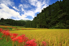秋の山里 -  ②