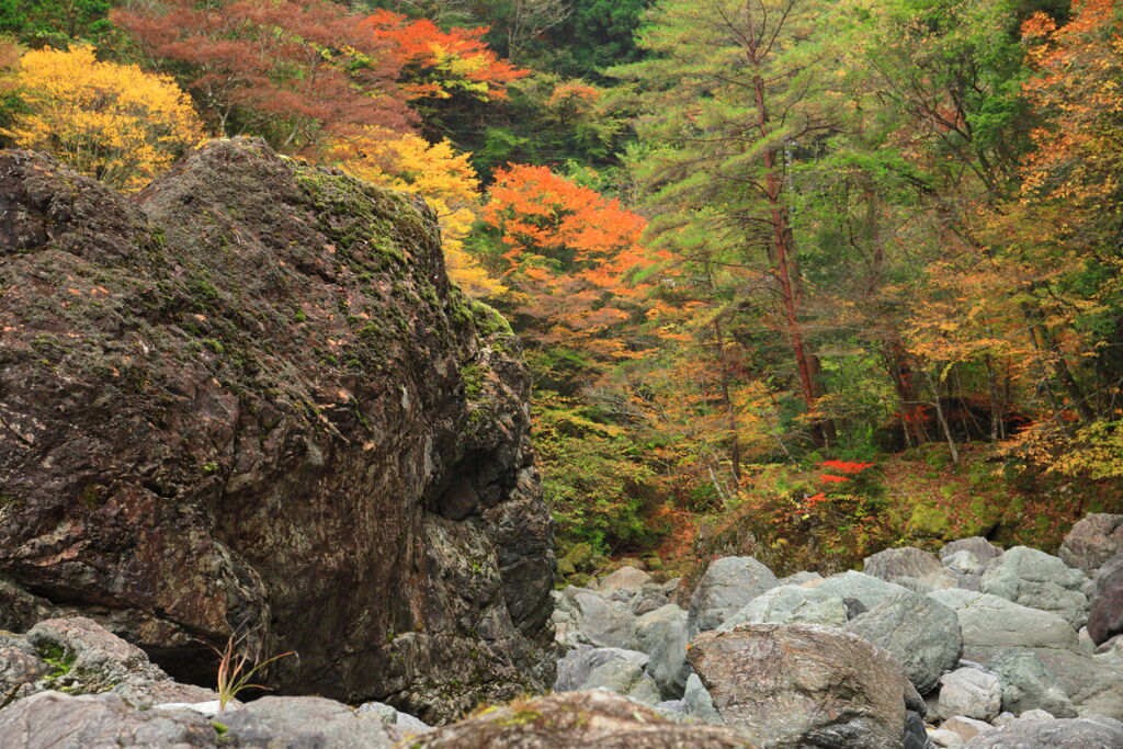 紅葉の渓流