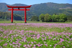 菅原神社 (遠景) - ①