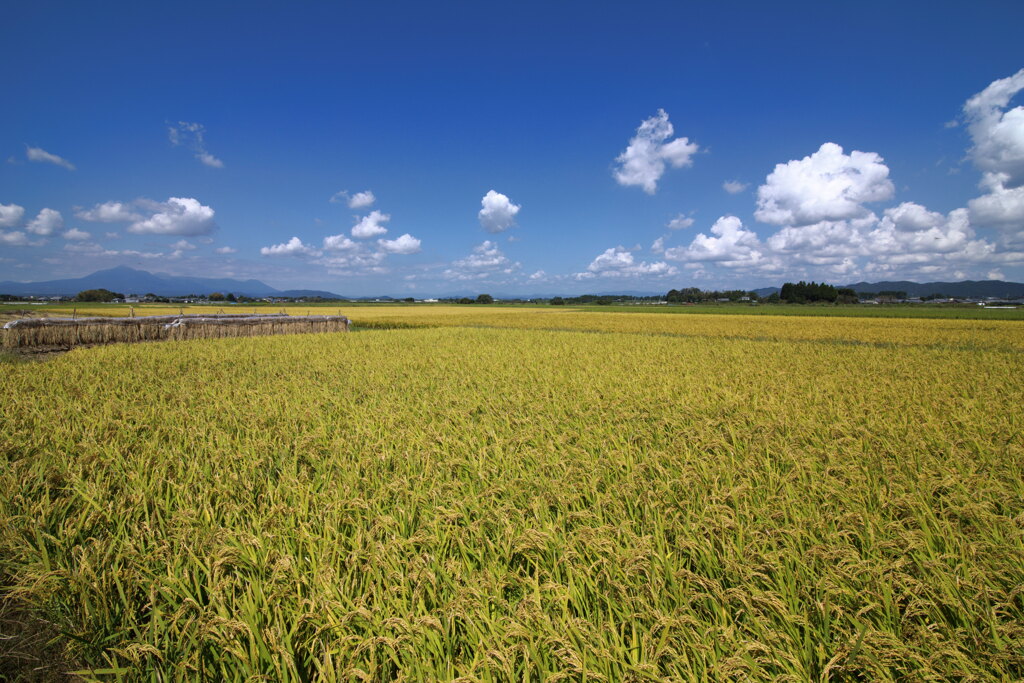 霧島春夏秋冬 (掛け干し) - ③