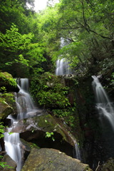 椎尾の滝 - ①